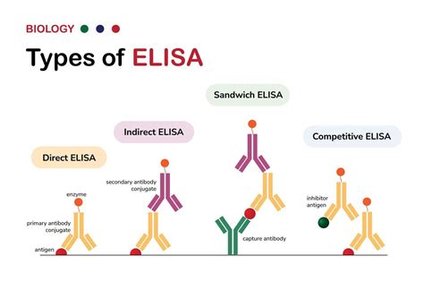 elisa test enzyme used|types of enzyme immunoassay.